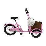 Chanty Cargo Kid – Pink inkl. hjelm, flaskeholder, håndtag i 2 farver og ringklokke - BørnecyklerneChantyBørnecyklernePink: BLC16 - LYRChanty Cargo Kid – Pink inkl. hjelm, flaskeholder, håndtag i 2 farver og ringklokke