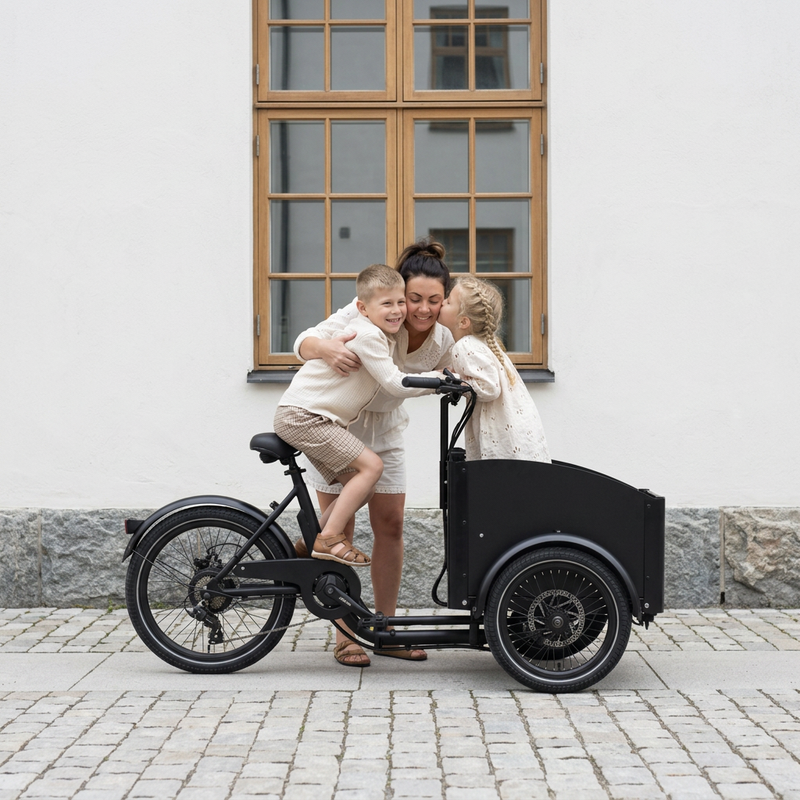 Chanty Cargo City Bike Elektrisch
